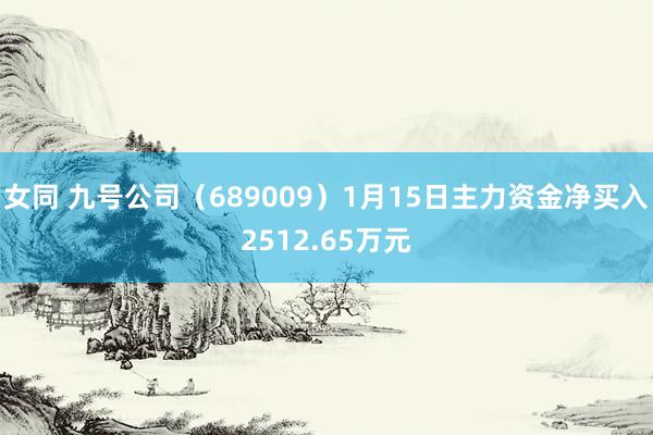 女同 九号公司（689009）1月15日主力资金净买入2512.65万元