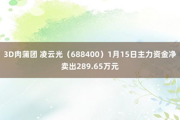 3D肉蒲团 凌云光（688400）1月15日主力资金净卖出289.65万元