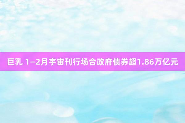 巨乳 1—2月宇宙刊行场合政府债券超1.86万亿元