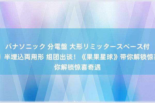 パナソニック 分電盤 大形リミッタースペース付 露出・半埋込両用形 组团出谈！《果果星球》带你解锁惊喜奇遇