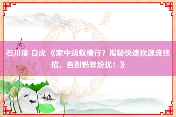 石川澪 白虎 《家中蚂蚁横行？揭秘快速找源流绝招，告别蚂蚁纷扰！》