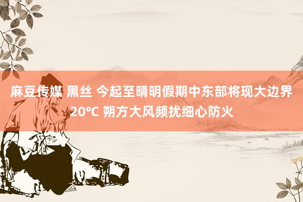 麻豆传媒 黑丝 今起至晴明假期中东部将现大边界20℃ 朔方大风频扰细心防火