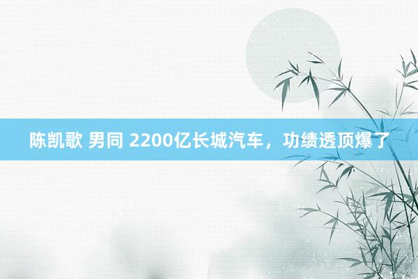 陈凯歌 男同 2200亿长城汽车，功绩透顶爆了