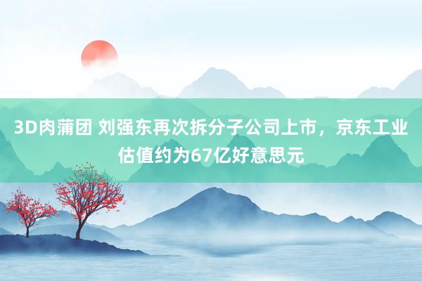 3D肉蒲团 刘强东再次拆分子公司上市，京东工业估值约为67亿好意思元