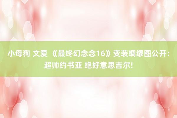 小母狗 文爱 《最终幻念念16》变装绸缪图公开：超帅约书亚 绝好意思吉尔!