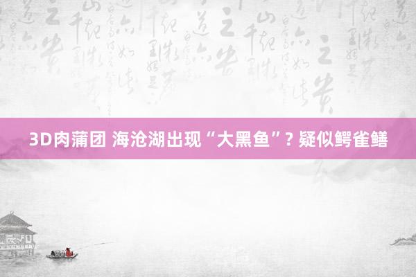 3D肉蒲团 海沧湖出现“大黑鱼”? 疑似鳄雀鳝