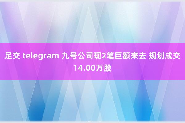 足交 telegram 九号公司现2笔巨额来去 规划成交14.00万股