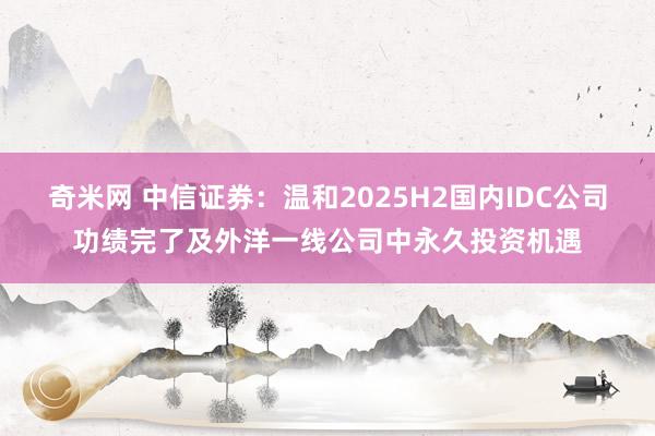 奇米网 中信证券：温和2025H2国内IDC公司功绩完了及外洋一线公司中永久投资机遇