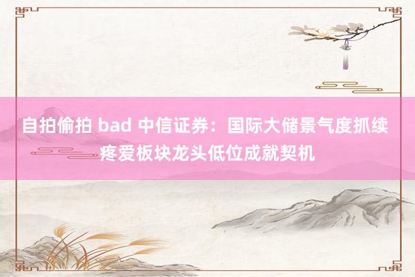自拍偷拍 bad 中信证券：国际大储景气度抓续 疼爱板块龙头低位成就契机