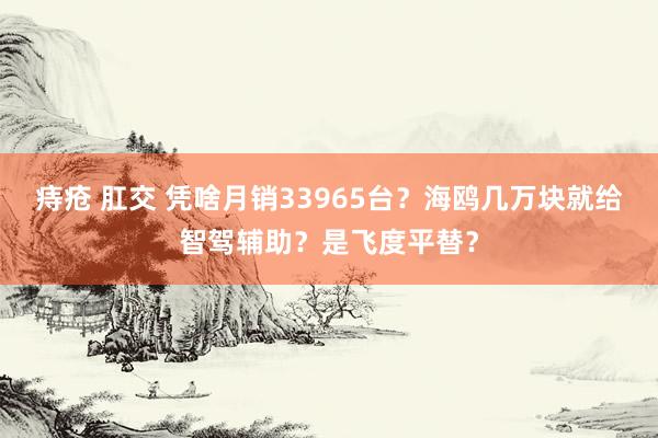 痔疮 肛交 凭啥月销33965台？海鸥几万块就给智驾辅助？是飞度平替？