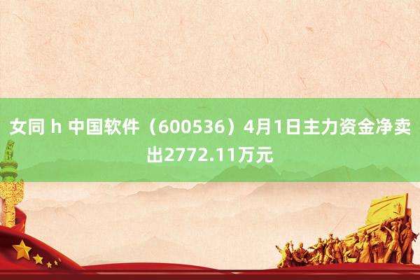 女同 h 中国软件（600536）4月1日主力资金净卖出2772.11万元