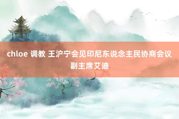 chloe 调教 王沪宁会见印尼东说念主民协商会议副主席艾迪