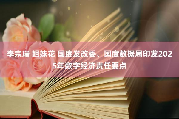 李宗瑞 姐妹花 国度发改委、国度数据局印发2025年数字经济责任要点