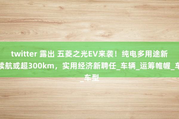 twitter 露出 五菱之光EV来袭！纯电多用途新车续航或超300km，实用经济新聘任_车辆_运筹帷幄_车型
