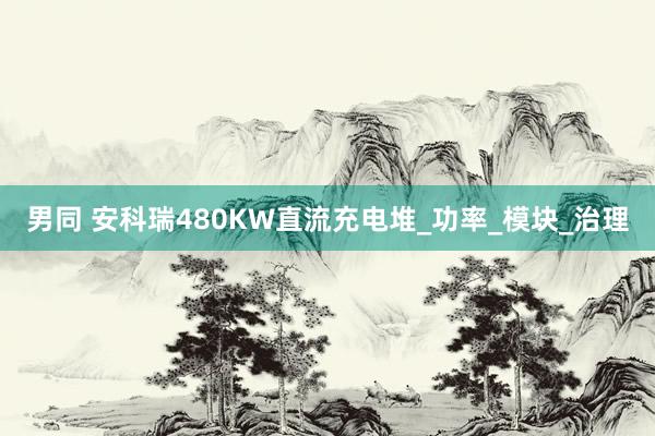 男同 安科瑞480KW直流充电堆_功率_模块_治理