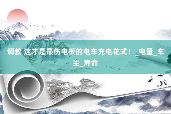 调教 这才是最伤电板的电车充电花式！_电量_车主_寿命