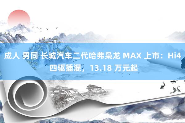 成人 男同 长城汽车二代哈弗枭龙 MAX 上市：Hi4 四驱插混，13.18 万元起