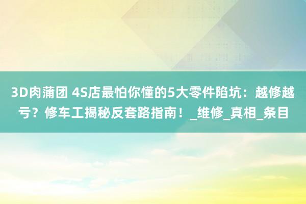 3D肉蒲团 4S店最怕你懂的5大零件陷坑：越修越亏？修车工揭秘反套路指南！_维修_真相_条目