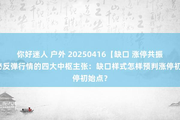 你好迷人 户外 20250416【缺口 涨停共振】揭秘反弹行情的四大中枢主张：缺口样式怎样预判涨停初始点？