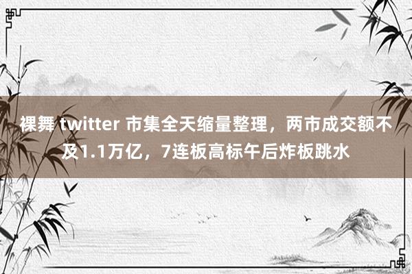 裸舞 twitter 市集全天缩量整理，两市成交额不及1.1万亿，7连板高标午后炸板跳水