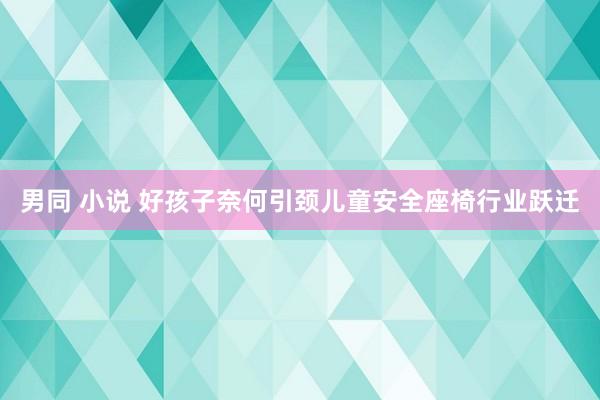 男同 小说 好孩子奈何引颈儿童安全座椅行业跃迁