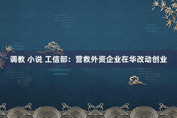 调教 小说 工信部：营救外资企业在华改动创业