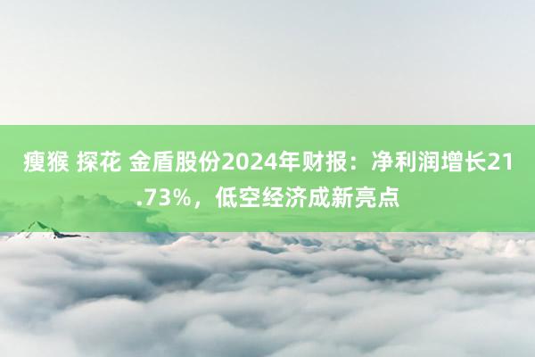瘦猴 探花 金盾股份2024年财报：净利润增长21.73%，低空经济成新亮点