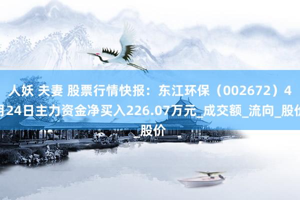 人妖 夫妻 股票行情快报：东江环保（002672）4月24日主力资金净买入226.07万元_成交额_流向_股价