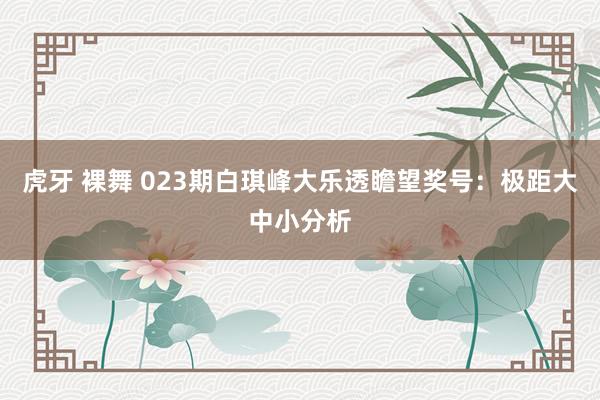 虎牙 裸舞 023期白琪峰大乐透瞻望奖号：极距大中小分析
