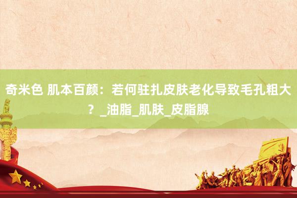 奇米色 肌本百颜：若何驻扎皮肤老化导致毛孔粗大？_油脂_肌肤_皮脂腺