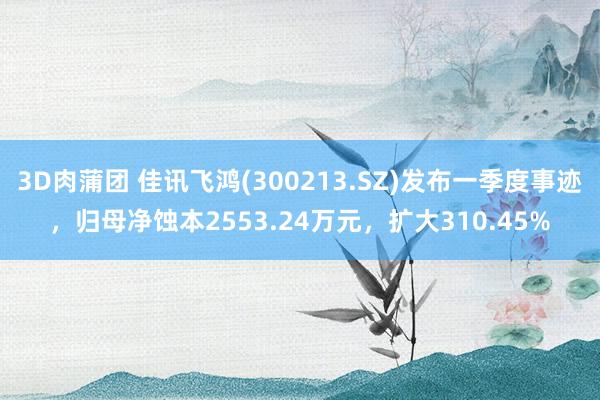 3D肉蒲团 佳讯飞鸿(300213.SZ)发布一季度事迹，归母净蚀本2553.24万元，扩大310.45%