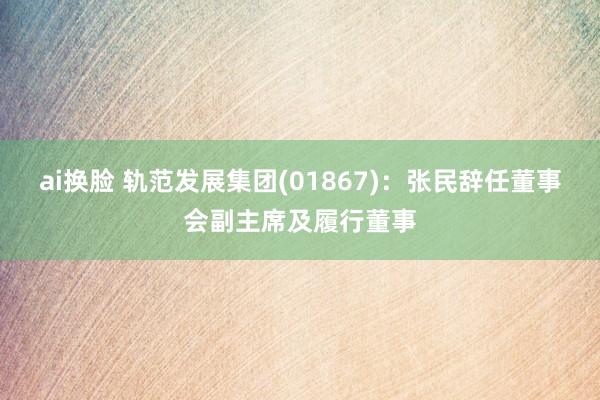 ai换脸 轨范发展集团(01867)：张民辞任董事会副主席及履行董事